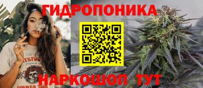 эйфоретик Кингисепп