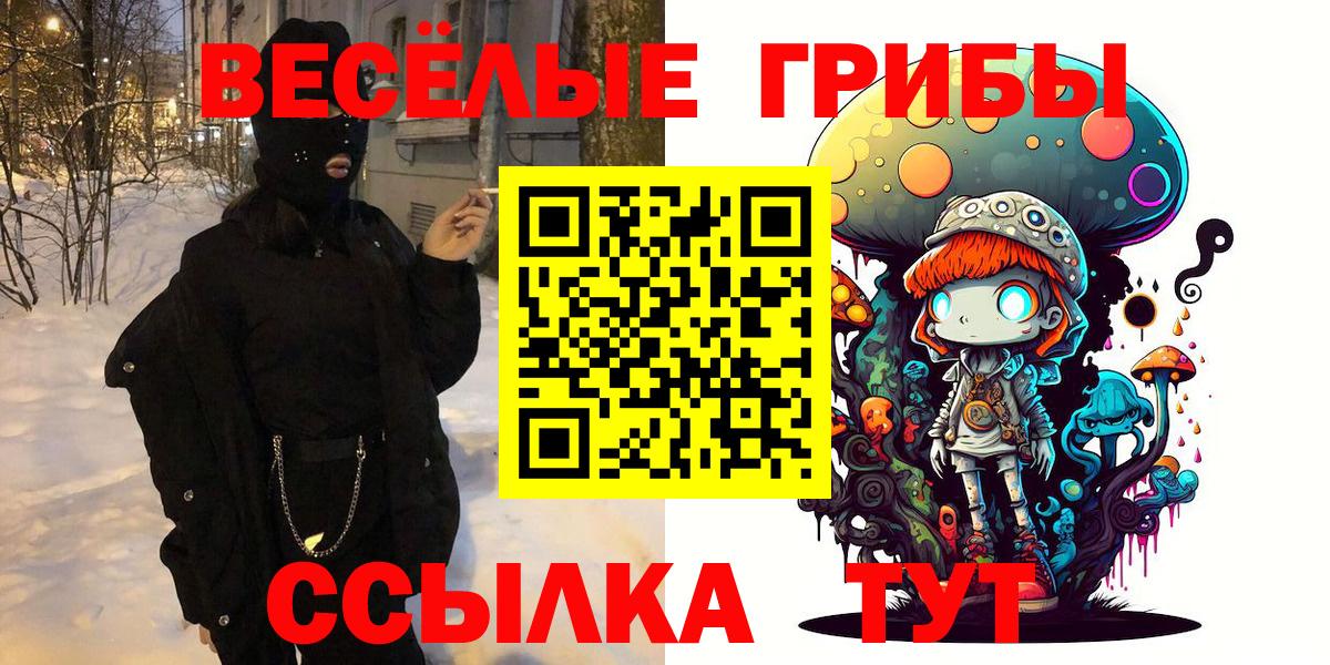 Галлюциногенные грибы прущие грибы  Вход с VPN  Кириши  Галлюциногенные грибы Psilocybine cubensis 