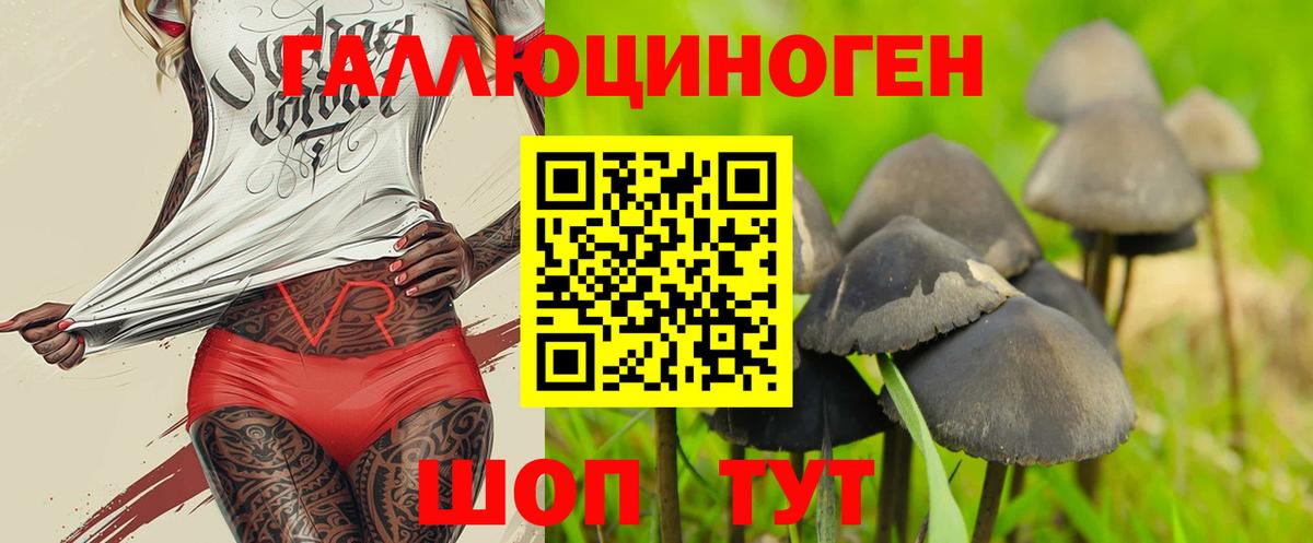 Псилоцибиновые грибы прущие грибы Кириши